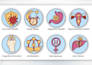 design custom flat vector icons for apps, websites, presentations